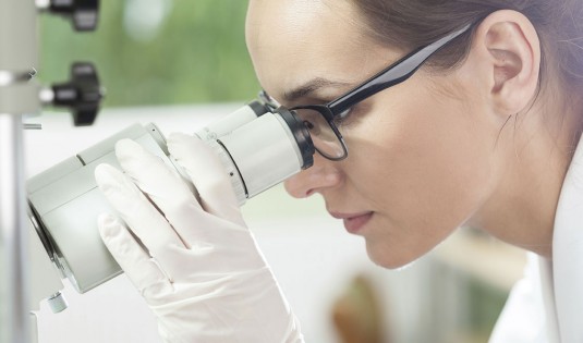 investigacion investigacion